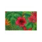 IDMAT TAPIS COCO NAT COCON4575HIBISC